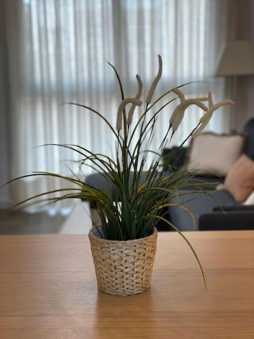 Lovely Beach Apartment 린콘데라빅토리아 외부 사진